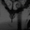 And here again the darkside of Aislinghood. This female is at the end of her road as it was "Foretold  Within The Ruins" 